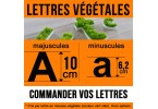 Lettres végétales (10cm)