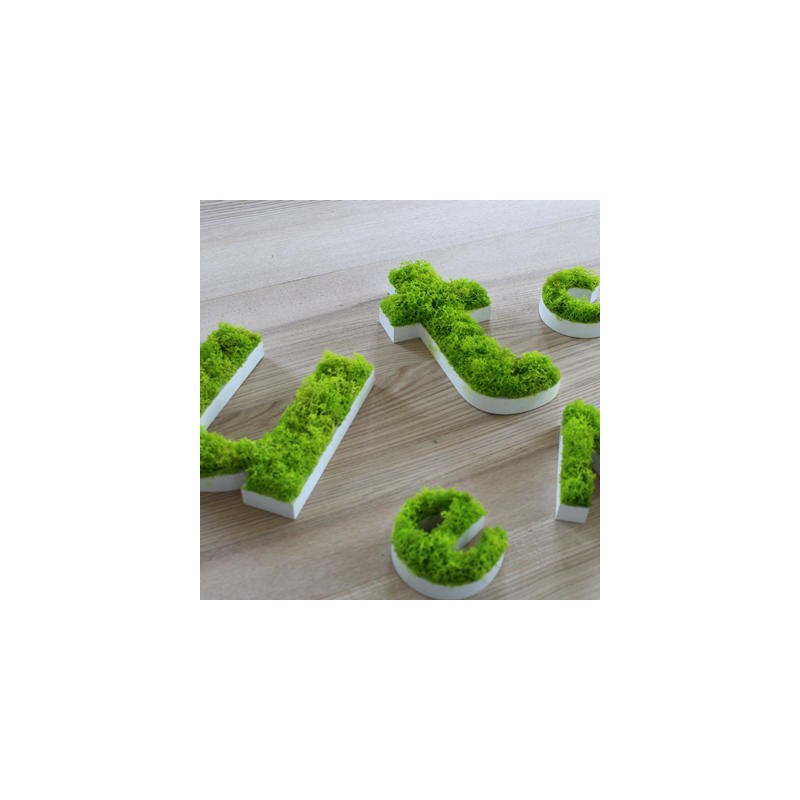 LETTRE VEGETALE en mousse naturelle pour sublimer vos intérieurs