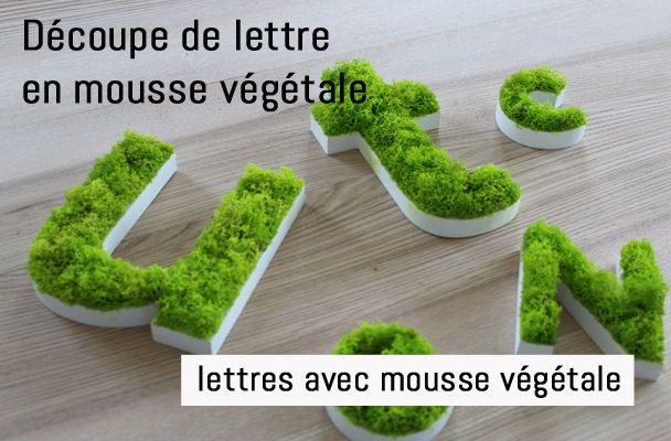 Lettres découpées végétales en mousse verte